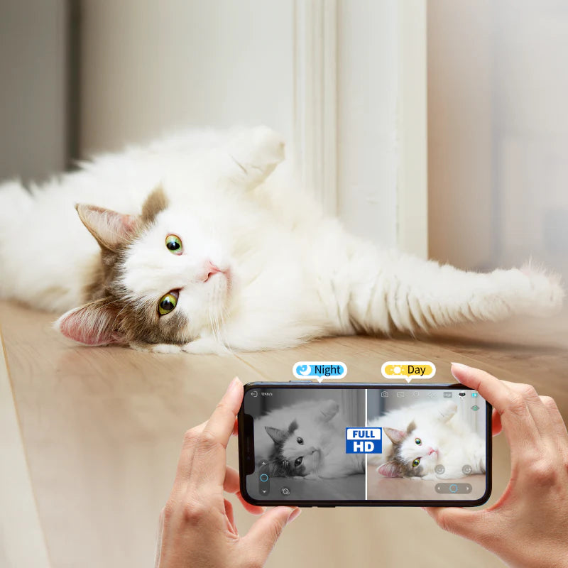EBO SE – AI-Powered Mobile Cam Bot