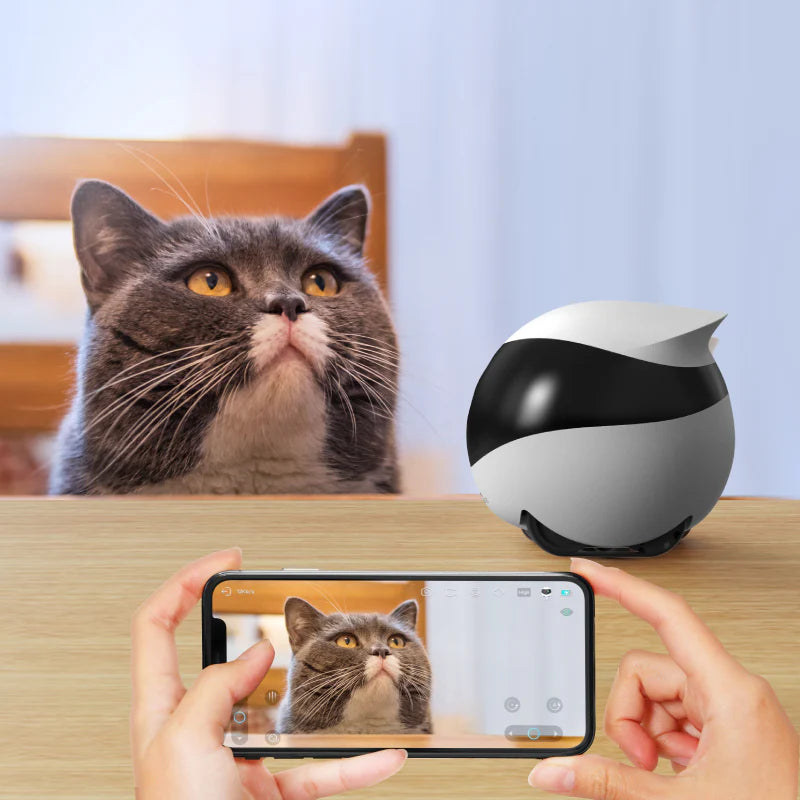 EBO SE – AI-Powered Mobile Cam Bot