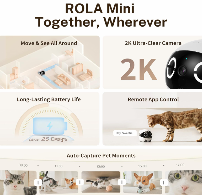 Rolo Mini – Smart 360° Home Companion Robot