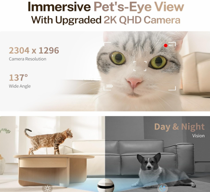 Rolo Mini – Smart 360° Home Companion Robot