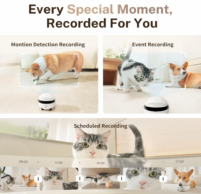 Rolo Mini – Smart 360° Home Companion Robot