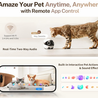 Rolo Mini – Smart 360° Home Companion Robot