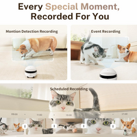 Rolo Mini – Smart 360° Home Companion Robot